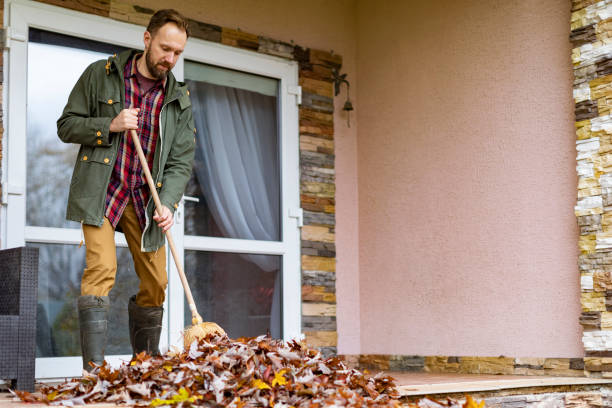 Best Dumpster Rental Services  in Farmington, IL
